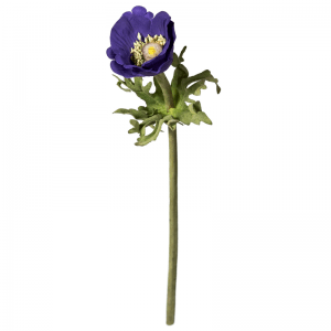 kwiat-56
